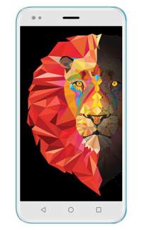 Intex Lions 6