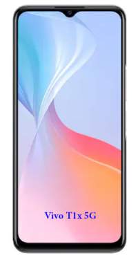 Vivo T1x 5G